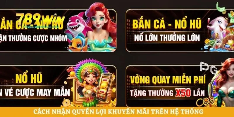 Cách nhận quyền lợi khuyến mãi trên hệ thống 